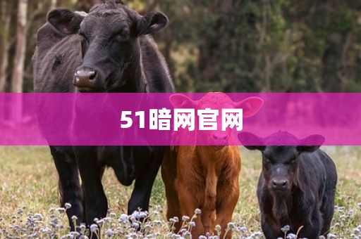 51暗网官网