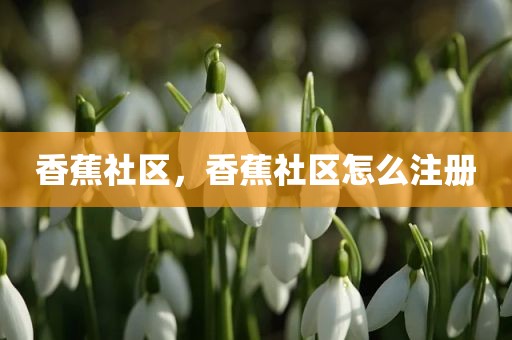 香蕉社区，香蕉社区怎么注册