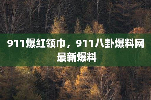 911爆红领巾，911八卦爆料网 最新爆料