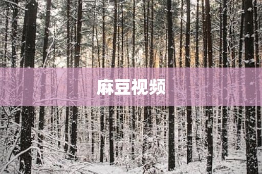 麻豆视频