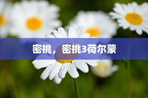 密挑，密挑3荷尔蒙