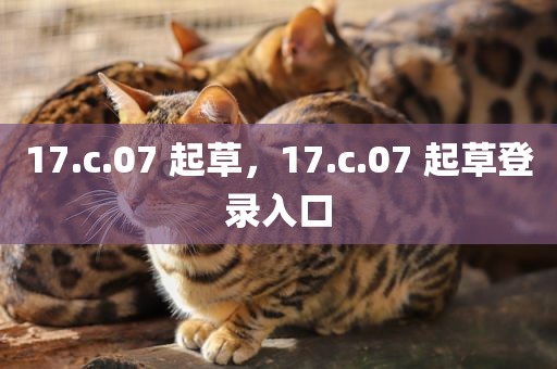 17.c.07 起草，17.c.07 起草登录入口