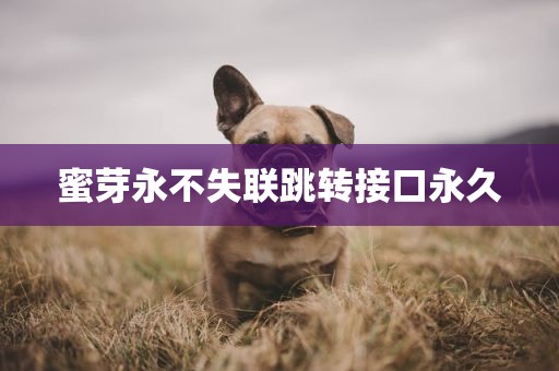 蜜芽永不失联跳转接口永久