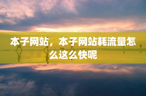 本子网站，本子网站耗流量怎么这么快呢