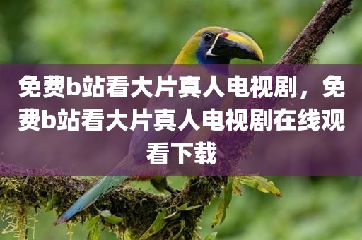 免费b站看大片真人电视剧，免费b站看大片真人电视剧在线观看下载