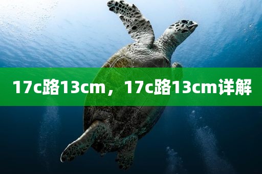 17c路13cm，17c路13cm详解