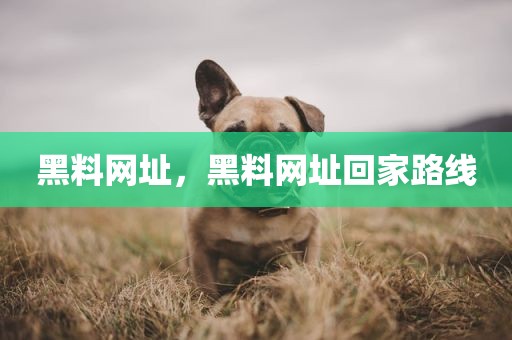 黑料网址，黑料网址回家路线