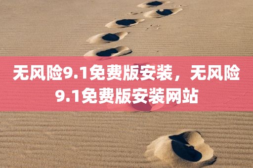 无风险9.1免费版安装，无风险9.1免费版安装网站