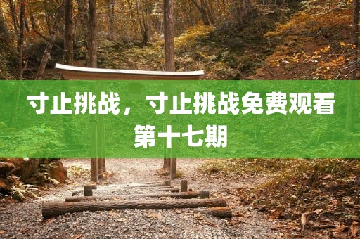 寸止挑战，寸止挑战免费观看第十七期