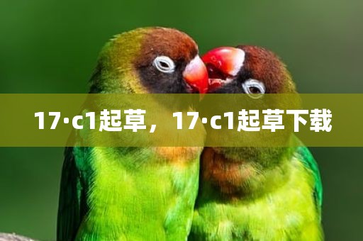 17·c1起草，17·c1起草下载