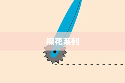探花系列