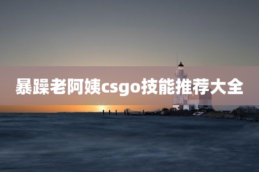 暴躁老阿姨csgo技能推荐大全