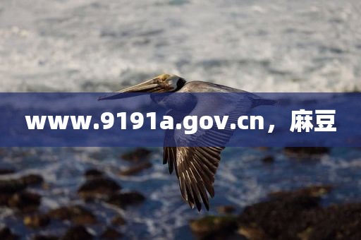www.9191a.gov.cn，麻豆