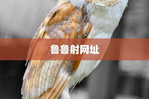 鲁鲁射网址