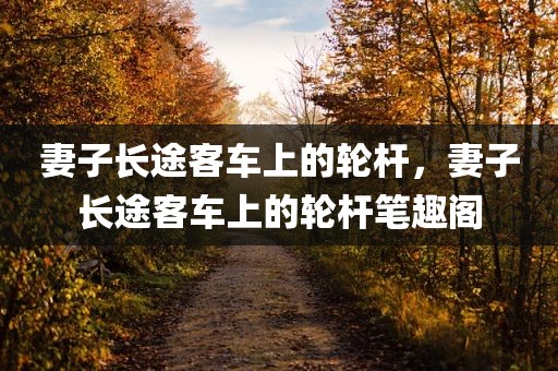 妻子长途客车上的轮杆，妻子长途客车上的轮杆笔趣阁