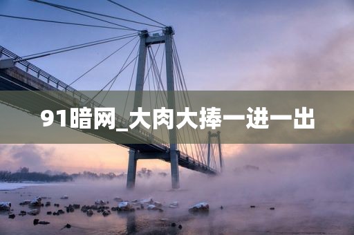 91暗网_大肉大捧一进一出
