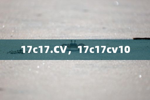 17c17.CV，17c17cv10
