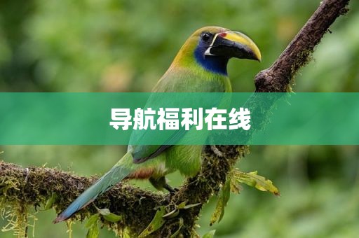 导航福利在线