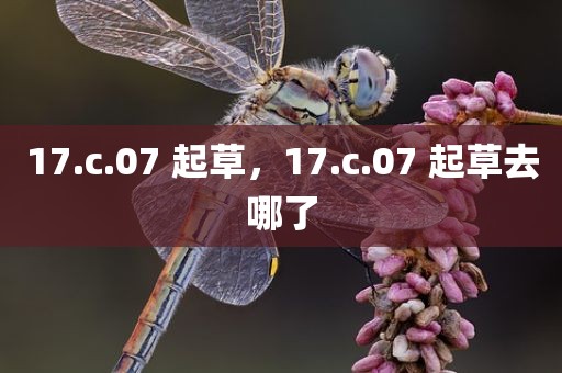17.c.07 起草，17.c.07 起草去哪了