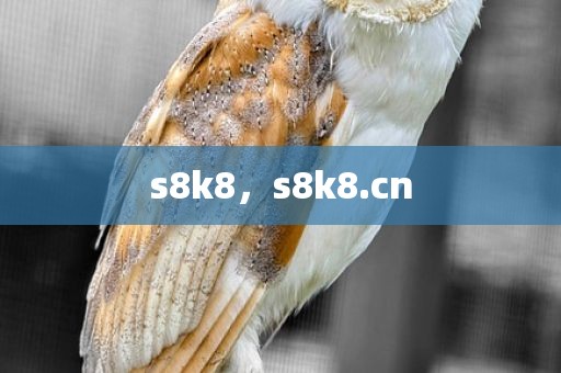 s8k8，s8k8.cn