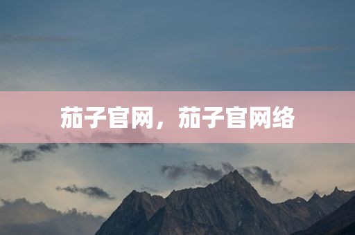 茄子官网，茄子官网络