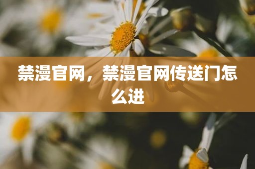 禁漫官网，禁漫官网传送门怎么进
