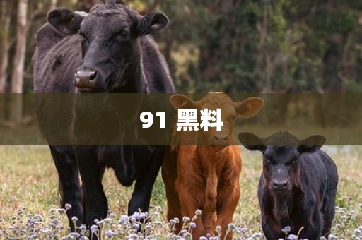 91 黑料