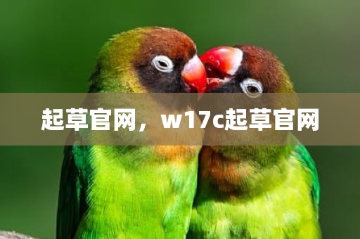 起草官网，w17c起草官网