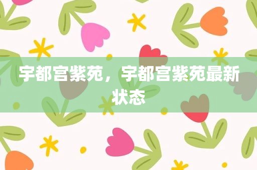 宇都宫紫苑，宇都宫紫苑最新状态