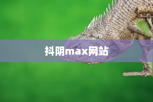 抖阴max网站