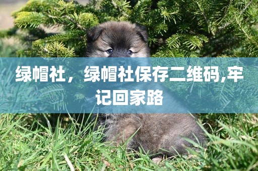 绿帽社，绿帽社保存二维码,牢记回家路