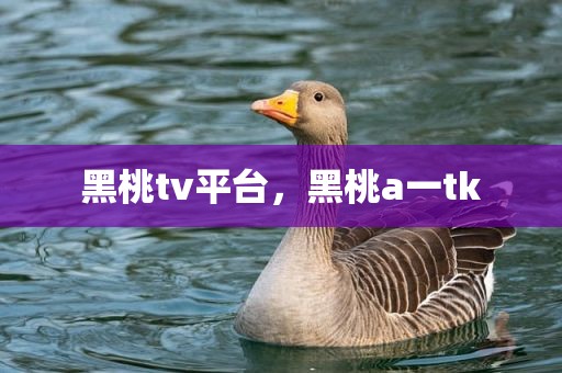 黑桃tv平台，黑桃a一tk