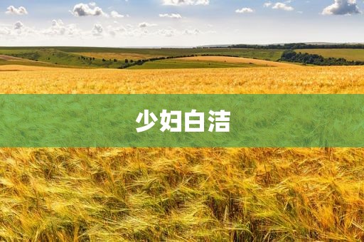少妇白洁