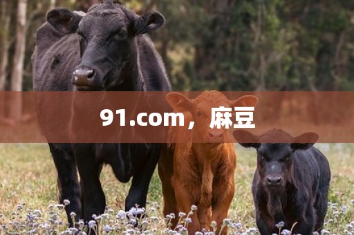 91.com，麻豆