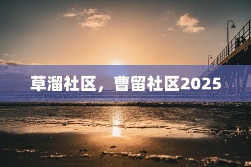 草溜社区，曹留社区2025