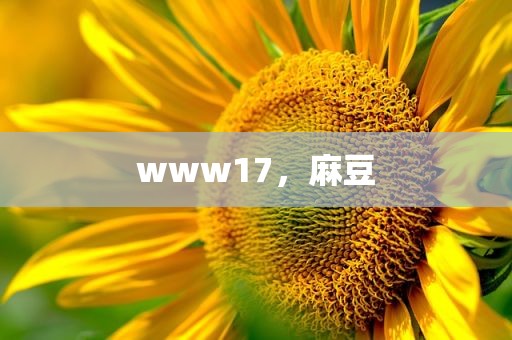 www17，麻豆