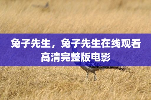 兔子先生，兔子先生在线观看高清完整版电影