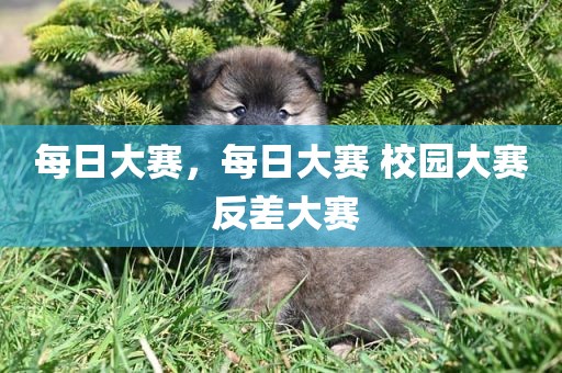 每日大赛，每日大赛 校园大赛 反差大赛