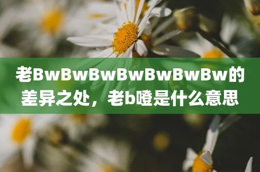 老BwBwBwBwBwBwBw的差异之处，老b噔是什么意思
