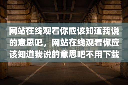 网站在线观看你应该知道我说的意思吧，网站在线观看你应该知道我说的意思吧不用下载