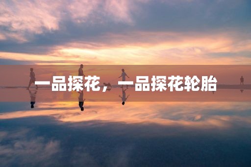 一品探花，一品探花轮胎