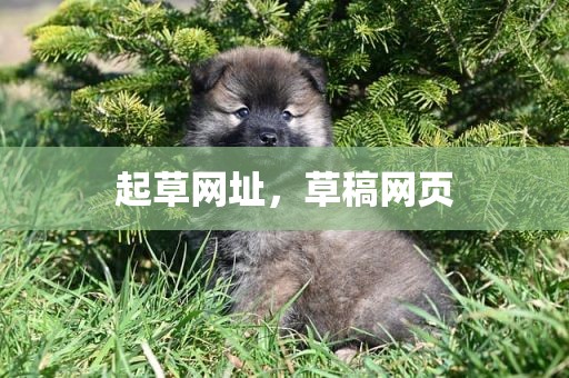 起草网址，草稿网页