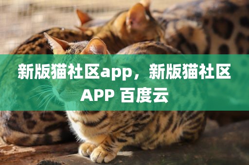 新版猫社区app，新版猫社区APP 百度云