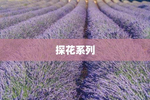 探花系列