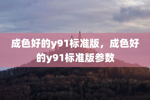 成色好的y91标准版，成色好的y91标准版参数