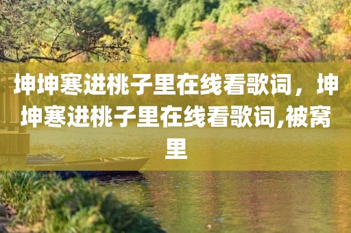 坤坤寒进桃子里在线看歌词，坤坤寒进桃子里在线看歌词,被窝里