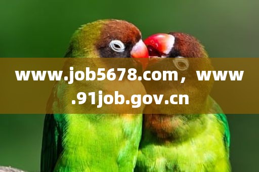 www.job5678.com，www.91job.gov.cn