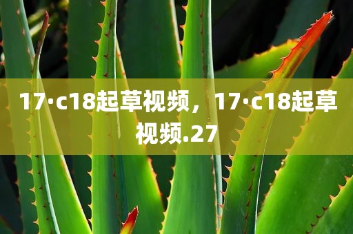 17·c18起草视频，17·c18起草视频.27
