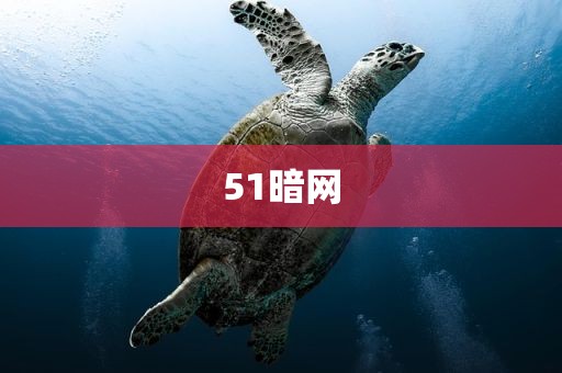 51暗网