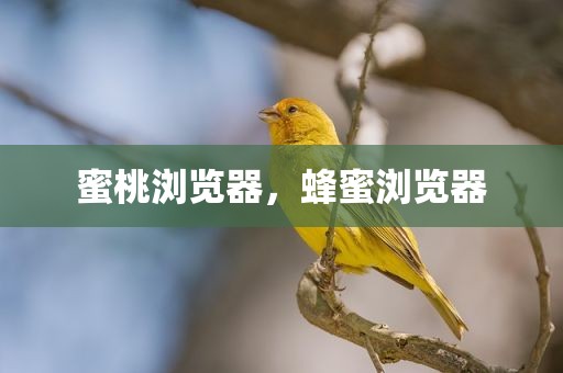 蜜桃浏览器，蜂蜜浏览器
